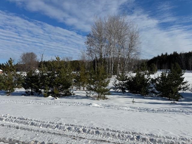 Boyne Falls, Michigan 49713, United States, ,Land,Active,11216