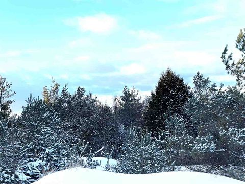 290 Harbor View LN Petoskey MI 49770