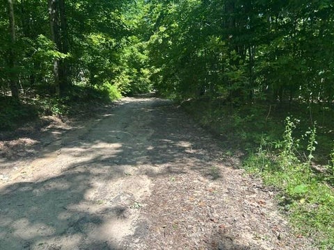 Photo for V/L Teal Road
