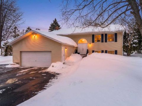 290 Lincoln Place Petoskey MI 49770