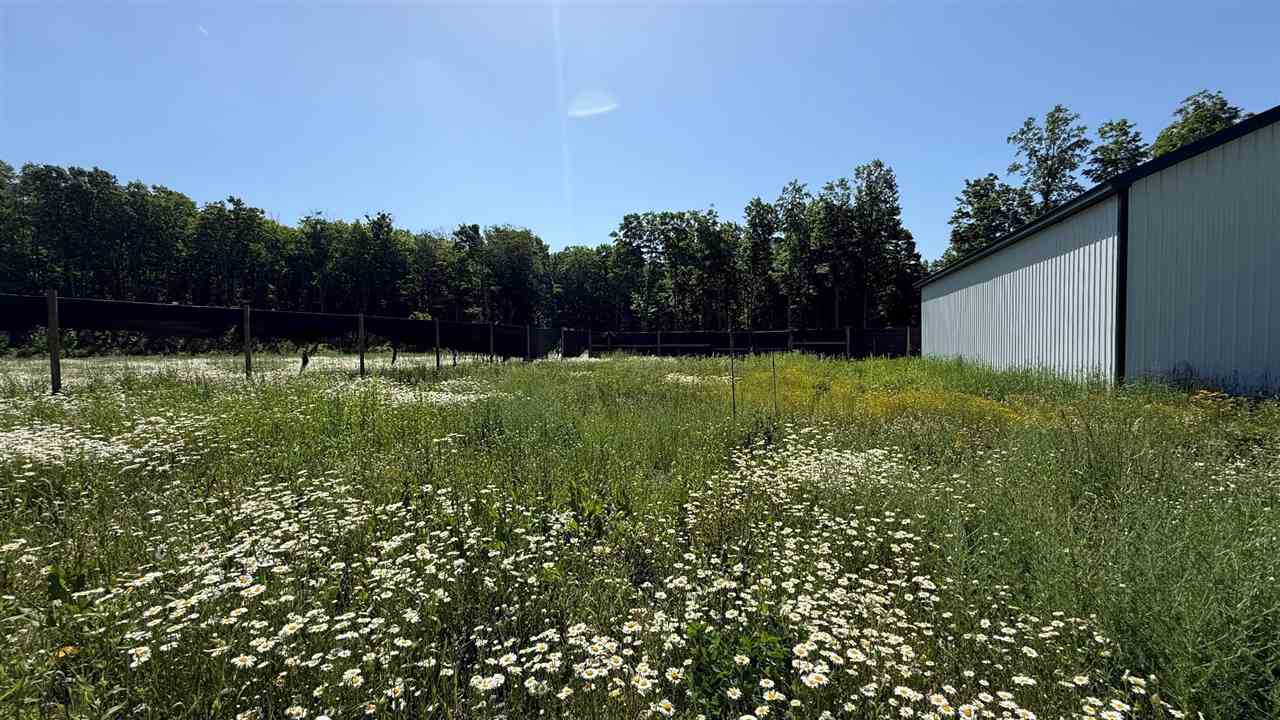 Mancelona, Michigan 49659, United States, ,Land,Active,176484