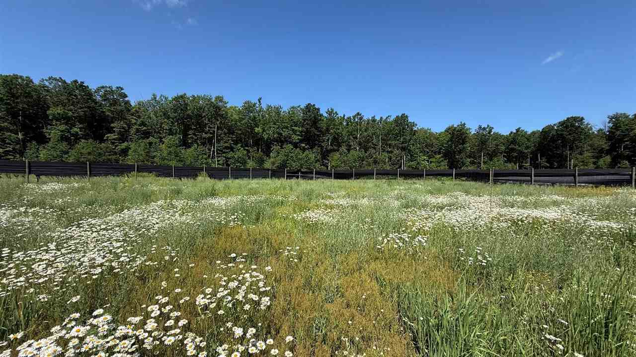 Mancelona, Michigan 49659, United States, ,Land,Active,176484