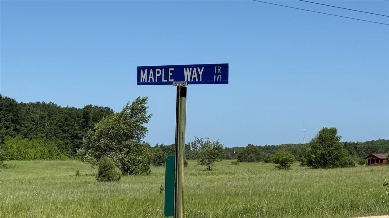 Mancelona, Michigan 49659, United States, ,Land,Active,176484