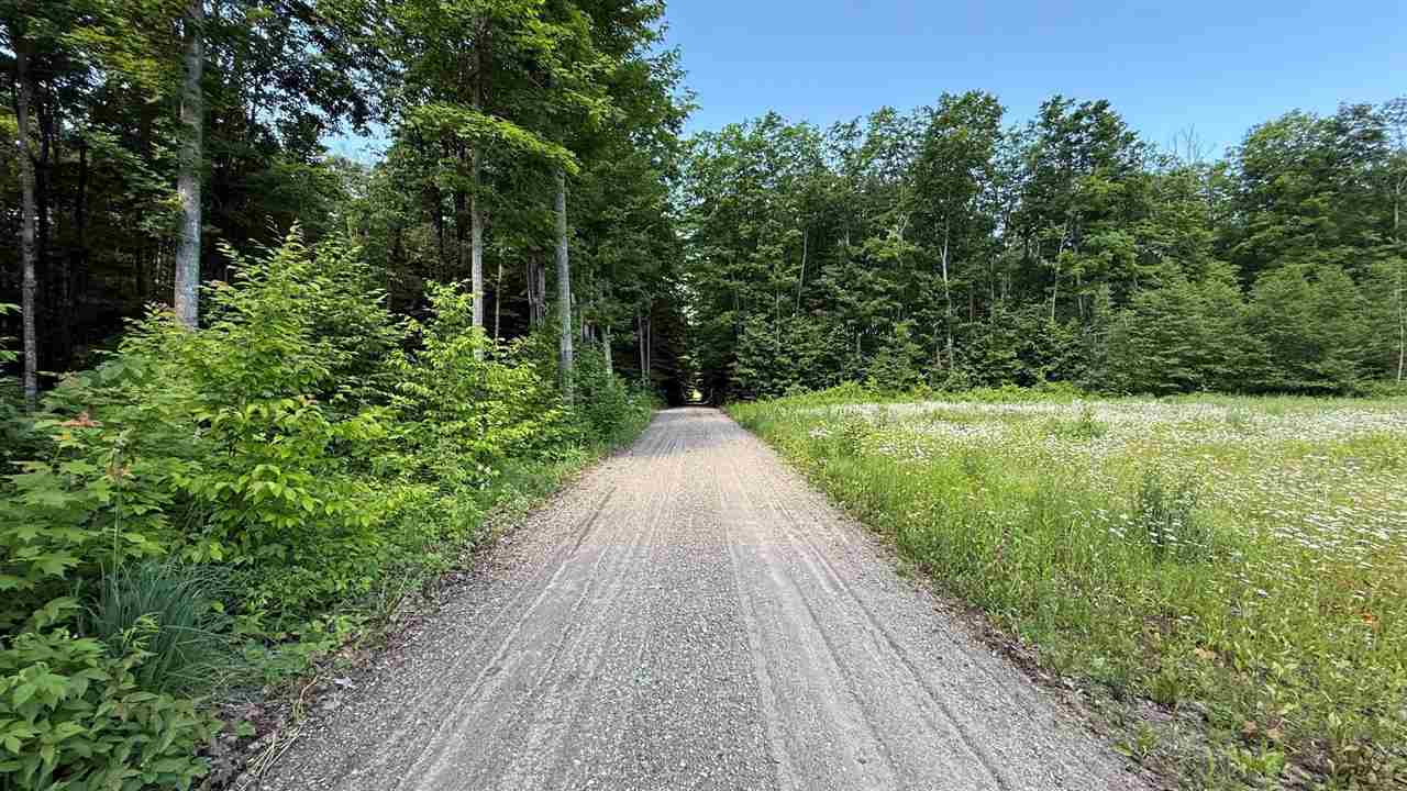 Mancelona, Michigan 49659, United States, ,Land,Active,176484