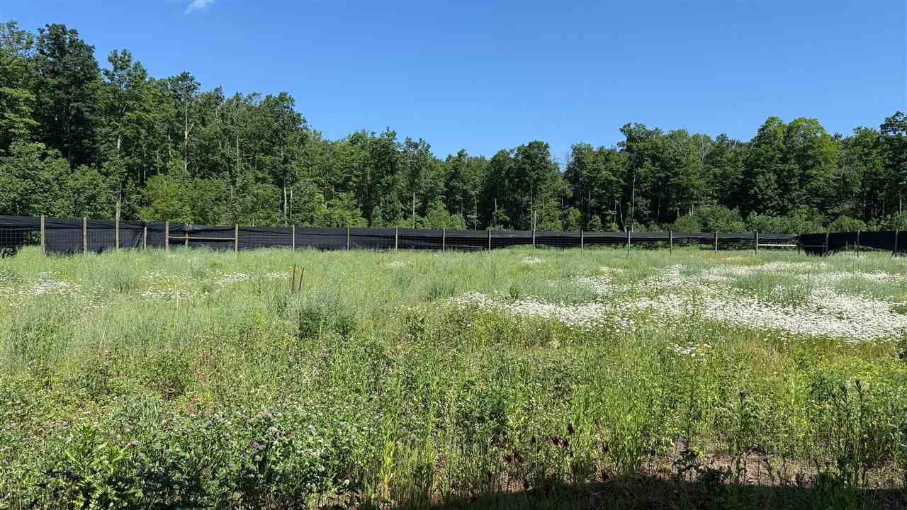 Mancelona, Michigan 49659, United States, ,Land,Active,176484