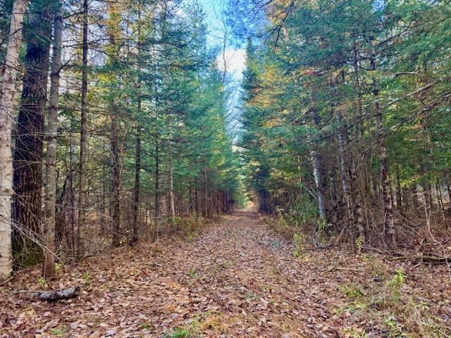 East Jordan, Michigan 49727, United States, ,Land,Active,244657