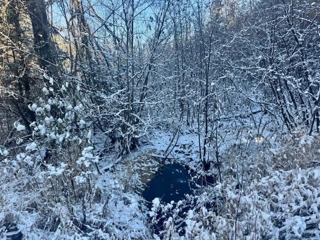 East Jordan, Michigan 49727, United States, ,Land,Active,244657