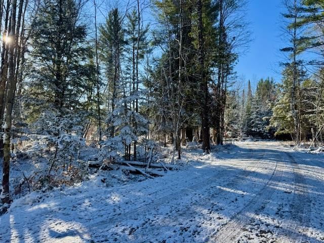 East Jordan, Michigan 49727, United States, ,Land,Active,244657