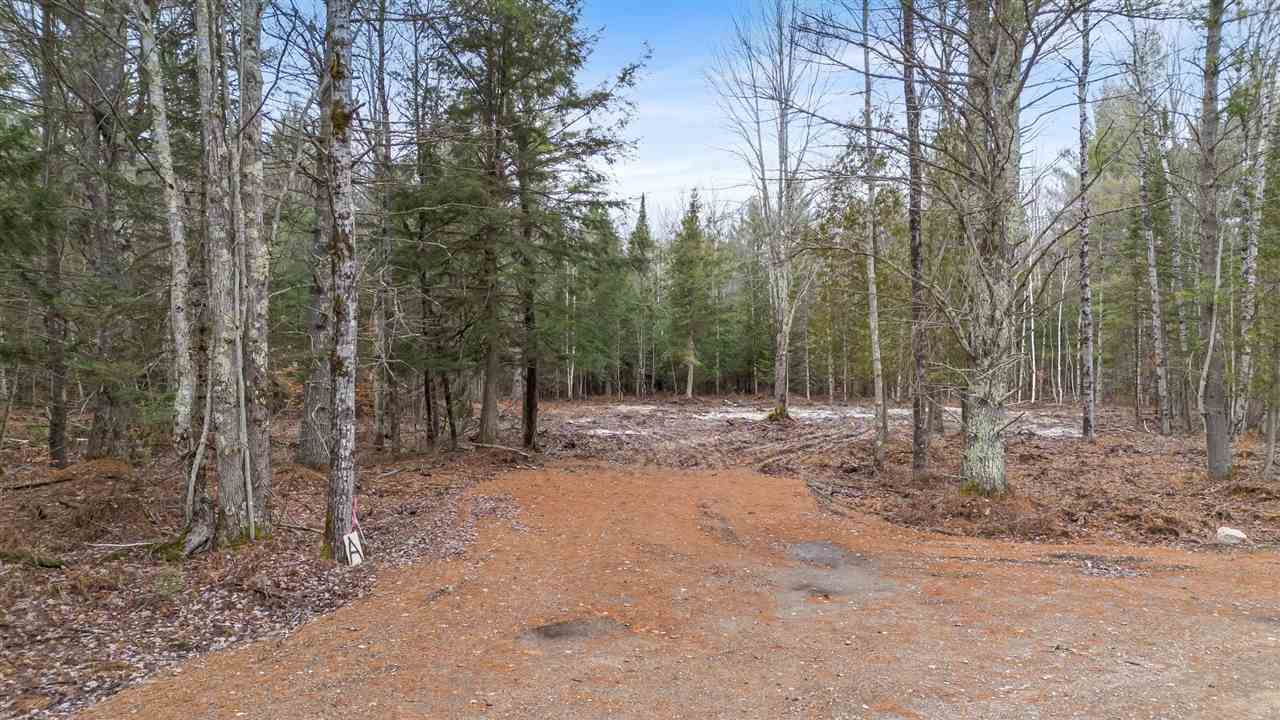 East Jordan, Michigan 49727, United States, ,Land,Active,244657