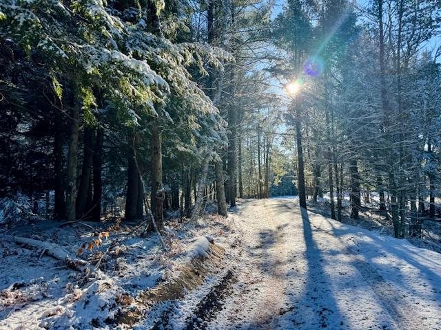 East Jordan, Michigan 49727, United States, ,Land,Active,244657