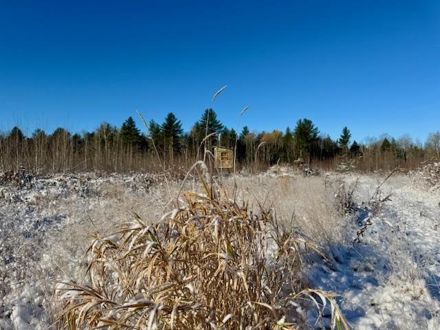 East Jordan, Michigan 49727, United States, ,Land,Active,244657