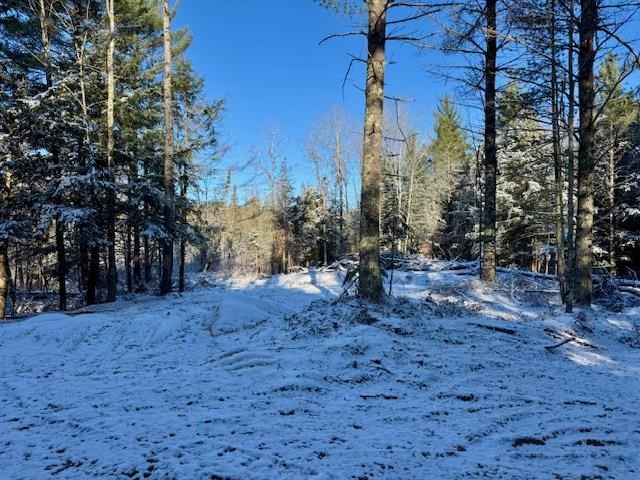 East Jordan, Michigan 49727, United States, ,Land,Active,244657