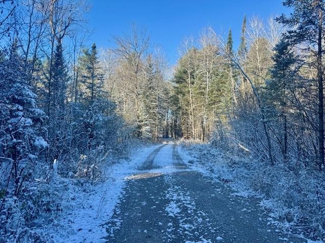 East Jordan, Michigan 49727, United States, ,Land,Active,244657