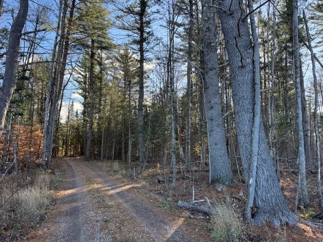 East Jordan, Michigan 49727, United States, ,Land,Active,244657