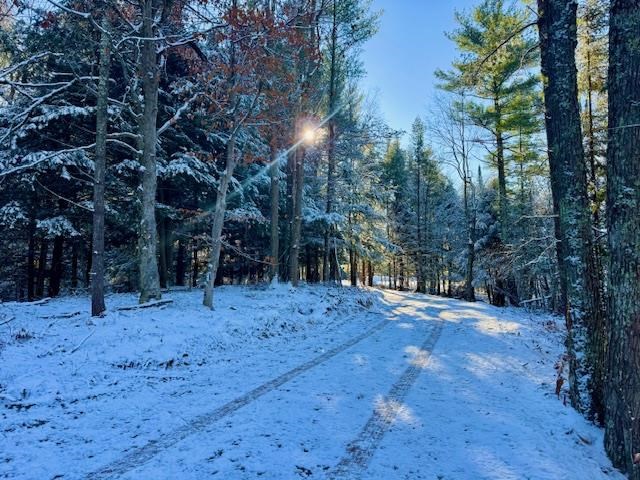 East Jordan, Michigan 49727, United States, ,Land,Active,244657