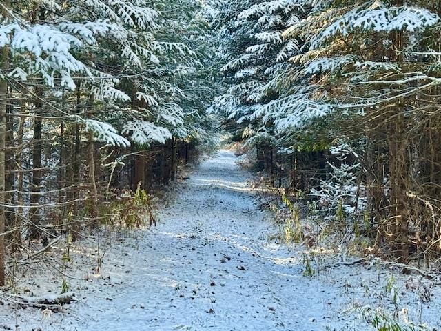 East Jordan, Michigan 49727, United States, ,Land,Active,244657