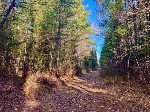 East Jordan, Michigan 49727, United States, ,Land,Active,244657