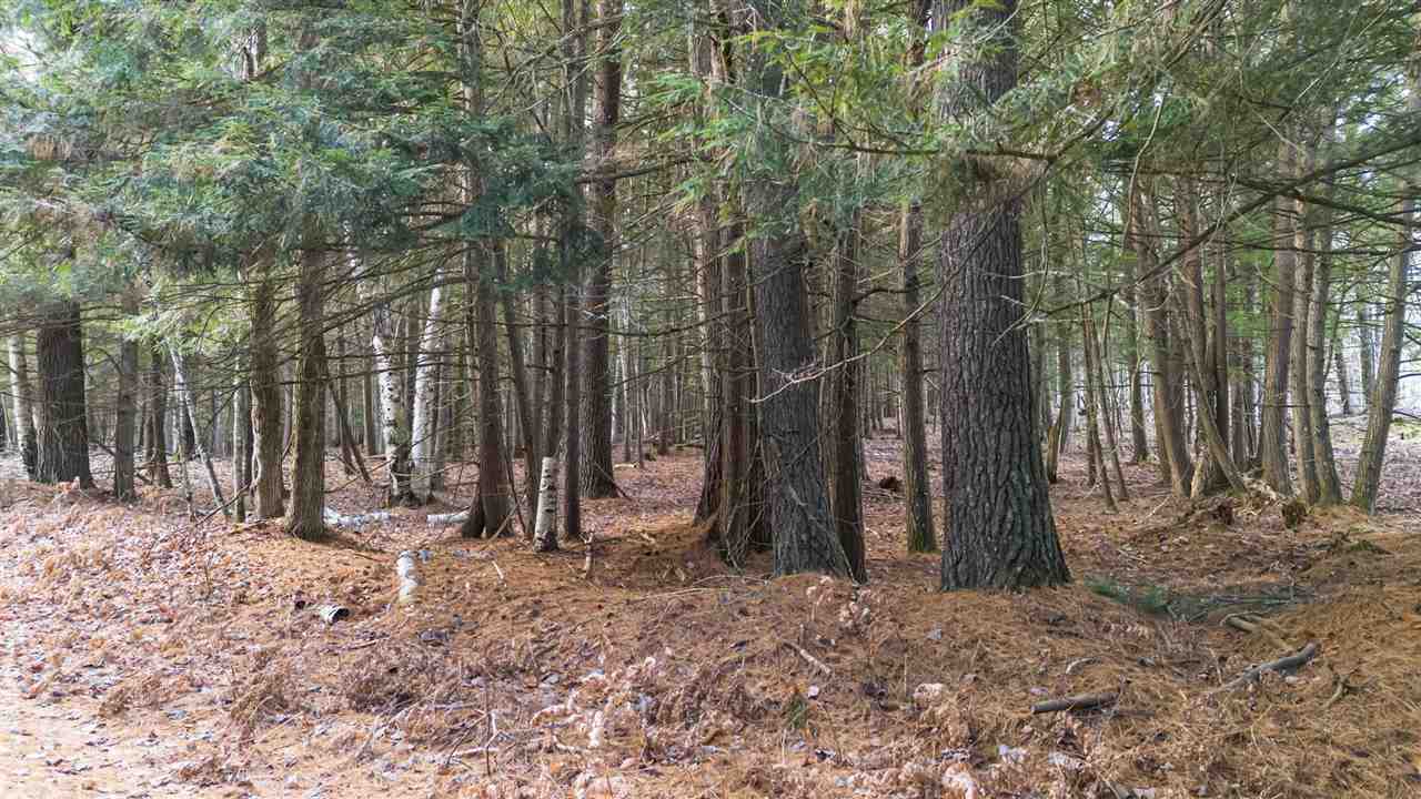 East Jordan, Michigan 49727, United States, ,Land,Active,244657