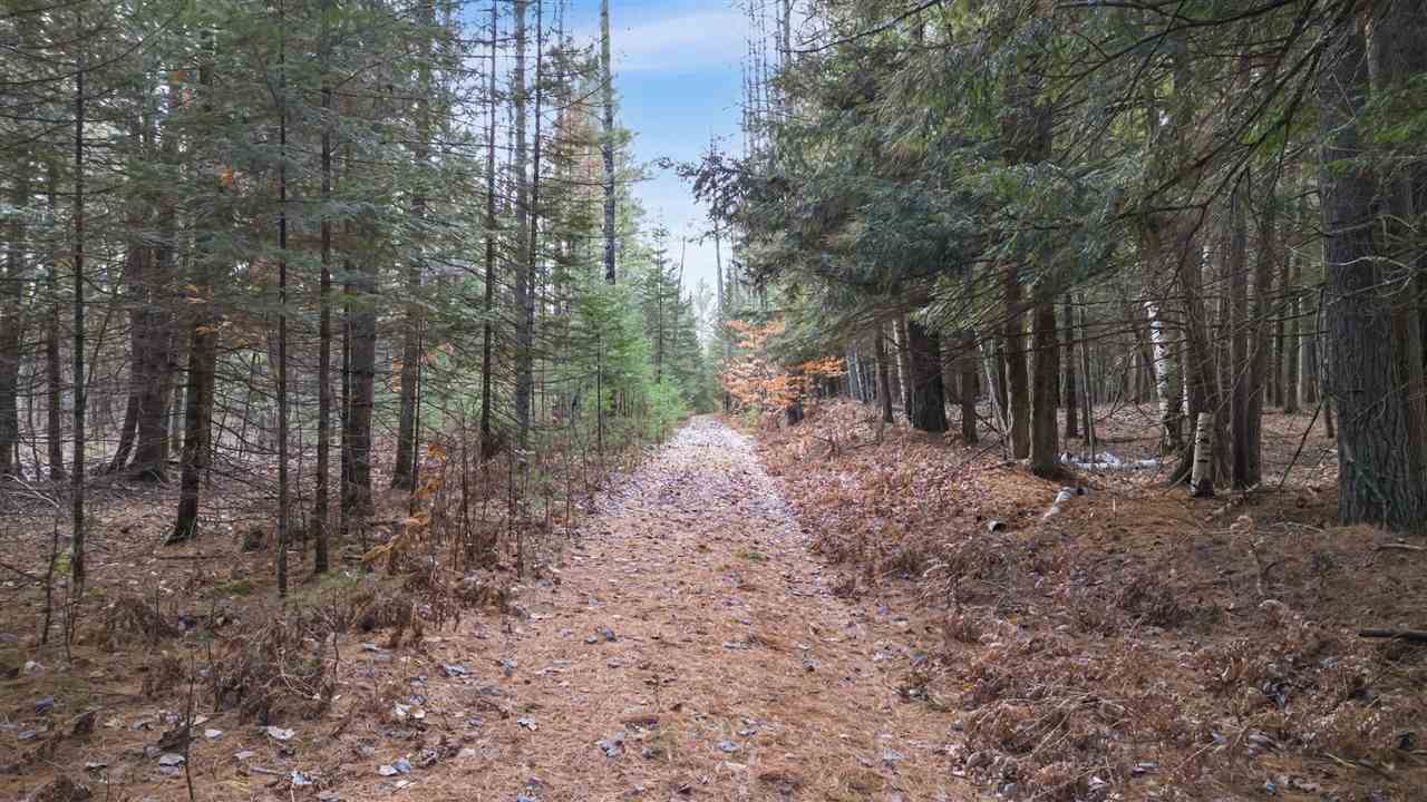 East Jordan, Michigan 49727, United States, ,Land,Active,244657