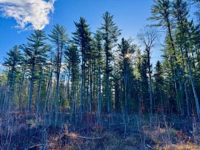 East Jordan, Michigan 49727, United States, ,Land,Active,244657