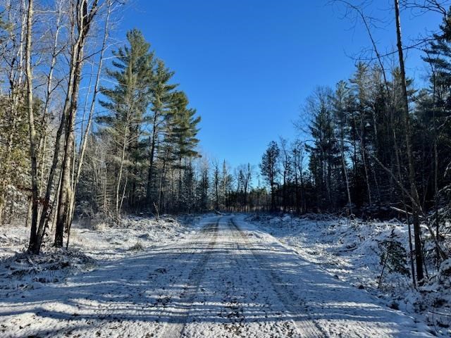 East Jordan, Michigan 49727, United States, ,Land,Active,244657