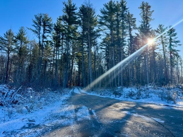 East Jordan, Michigan 49727, United States, ,Land,Active,244657