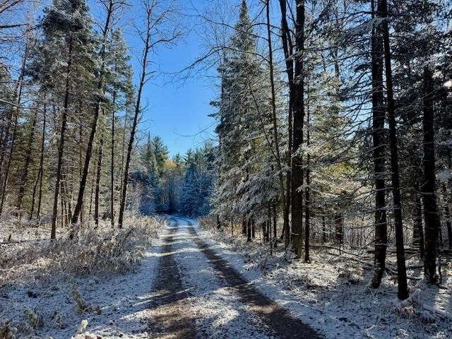 East Jordan, Michigan 49727, United States, ,Land,Active,244657