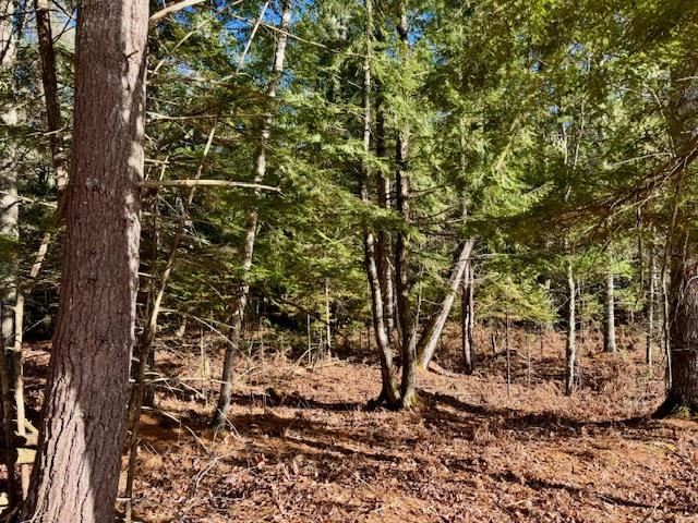 East Jordan, Michigan 49727, United States, ,Land,Active,244657