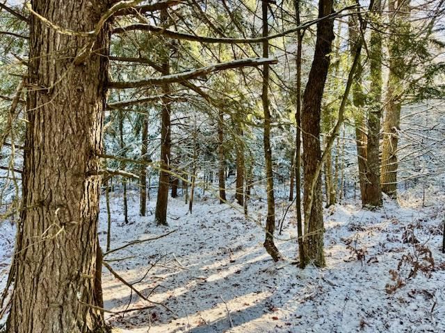 East Jordan, Michigan 49727, United States, ,Land,Active,244657