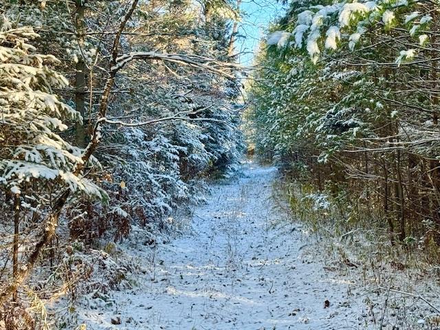 East Jordan, Michigan 49727, United States, ,Land,Active,244657