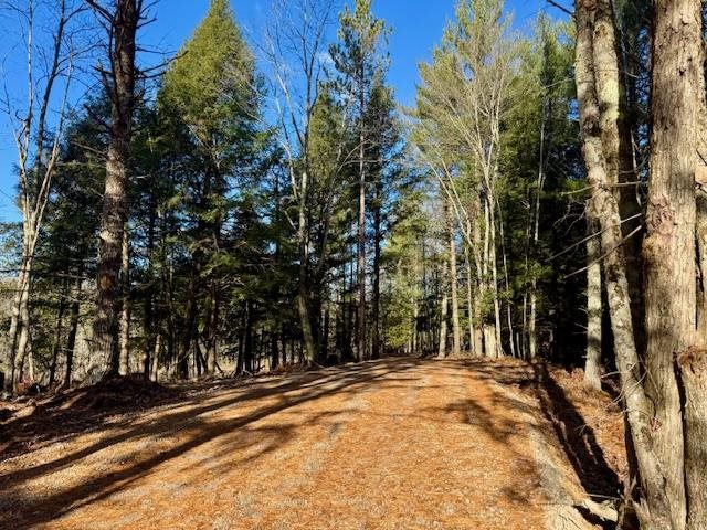 East Jordan, Michigan 49727, United States, ,Land,Active,244657