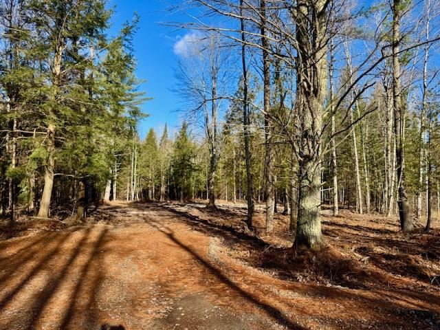 East Jordan, Michigan 49727, United States, ,Land,Active,244657