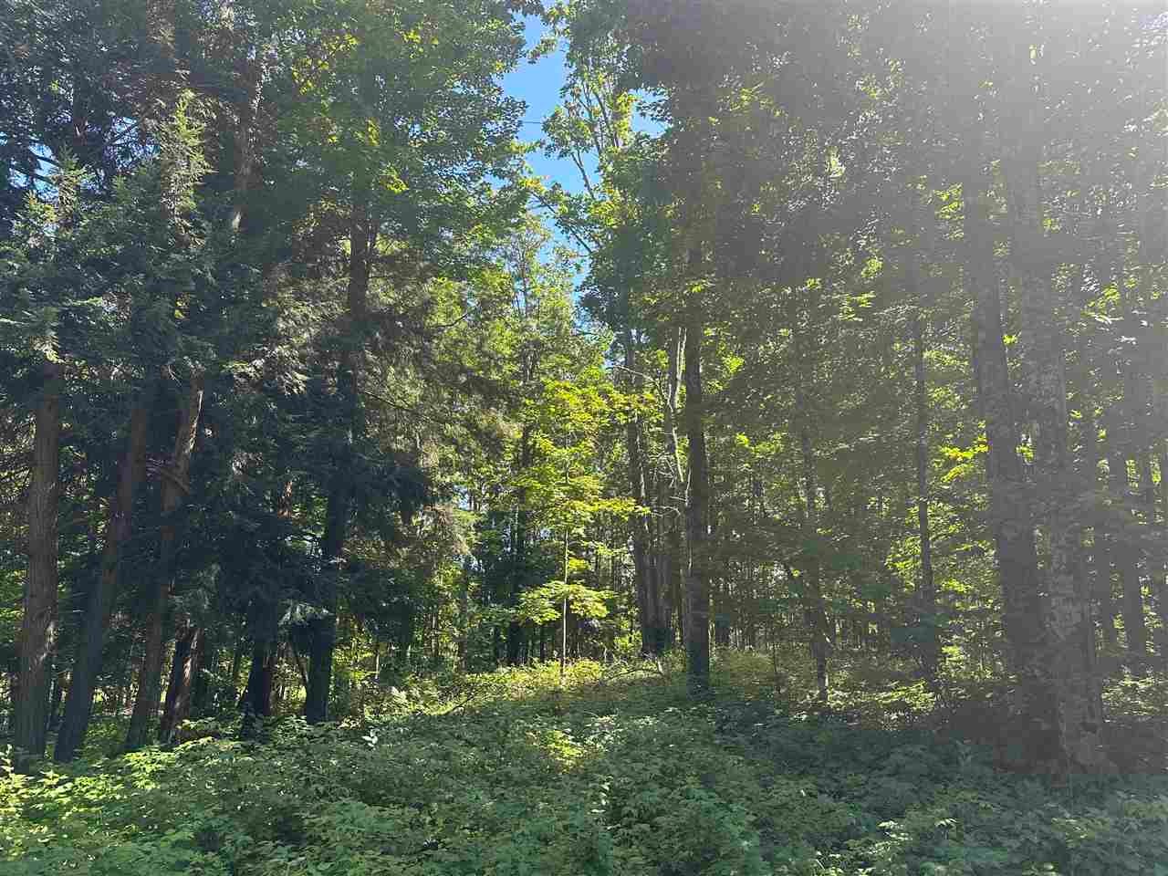 863 Aronimink Drive