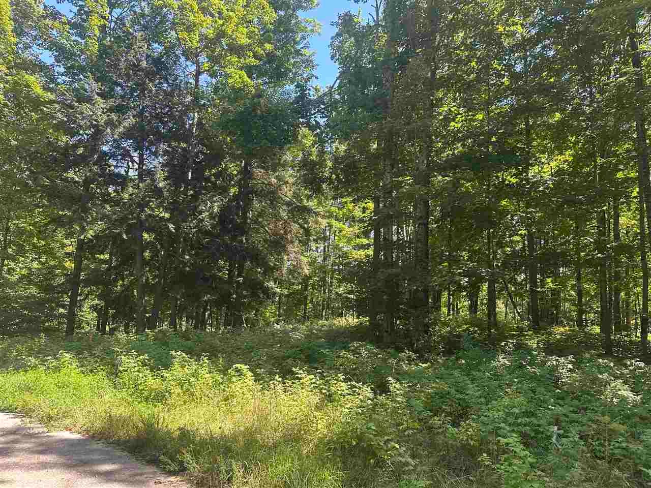 863 Aronimink Drive