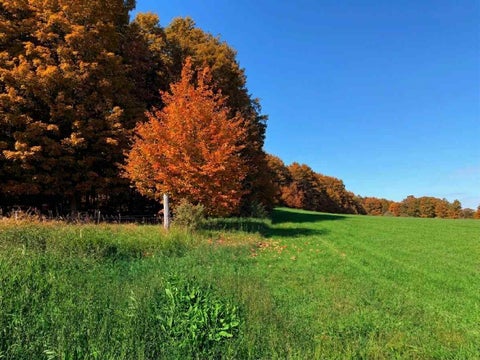 Photo for TBD M-32 Highway