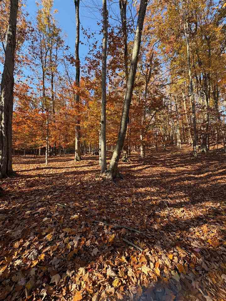 1735 Timber Pass