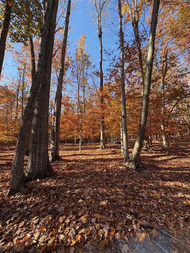 1735 Timber Pass