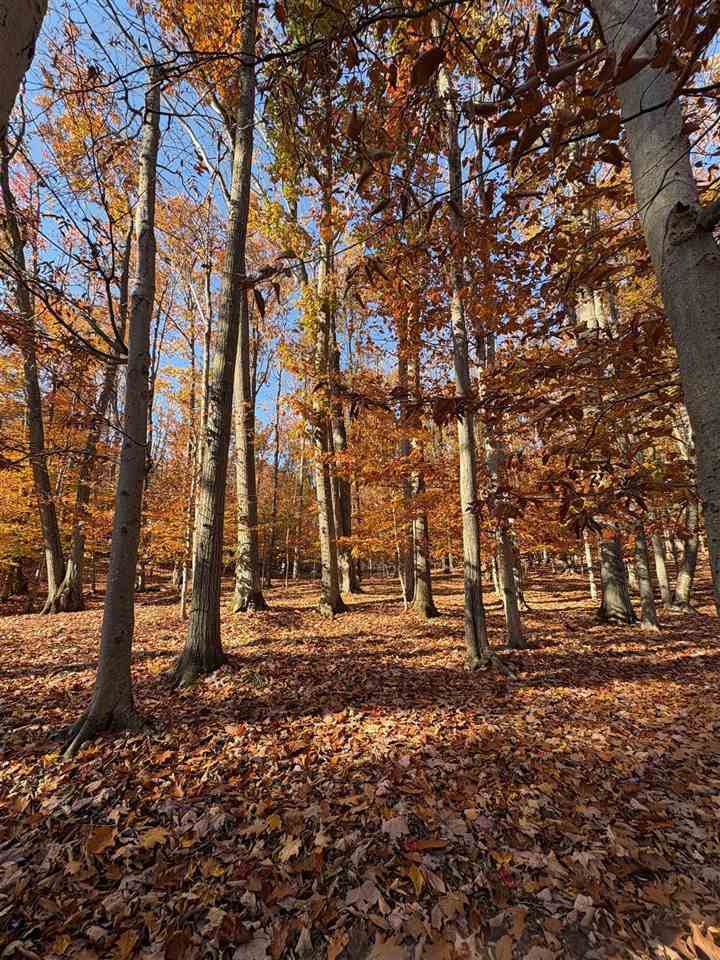 1735 Timber Pass