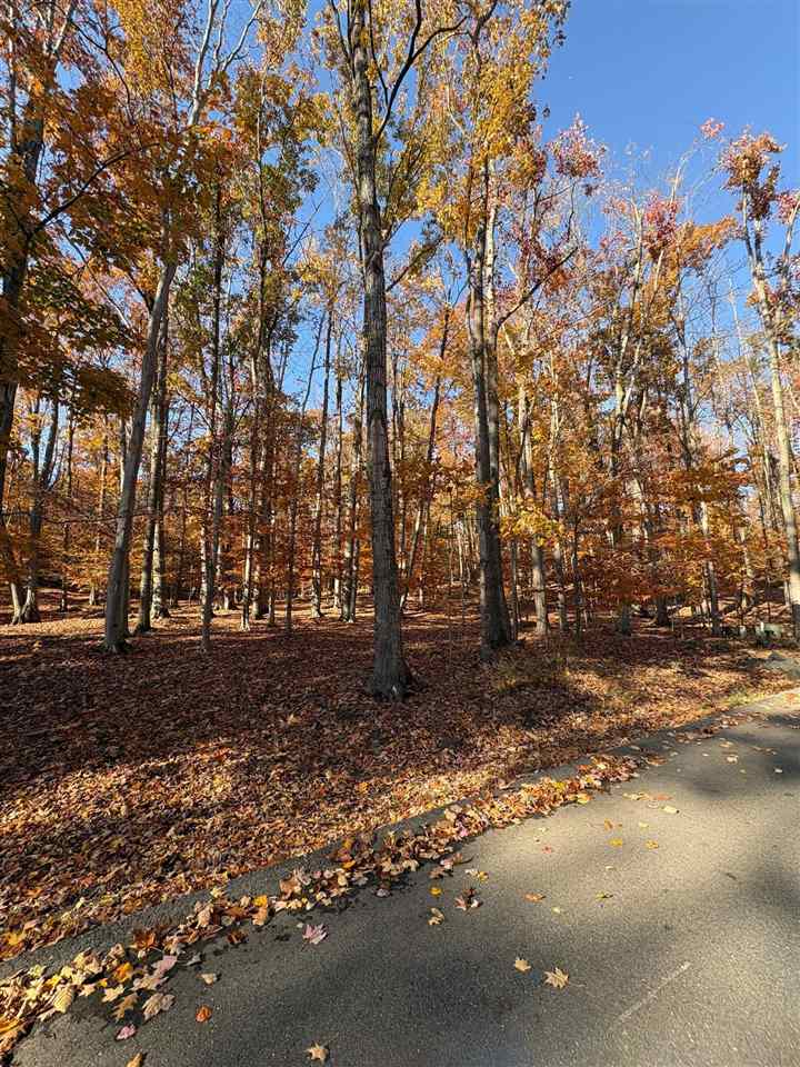 1735 Timber Pass