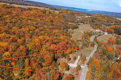 TBD Dietz RD Road Boyne City MI 49712