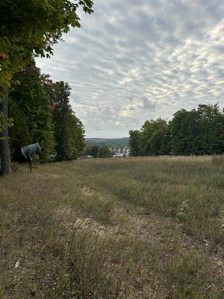 Boyne Falls, Michigan 49713, United States, 4 Bedrooms Bedrooms, ,4 BathroomsBathrooms,Residential,Active,103833