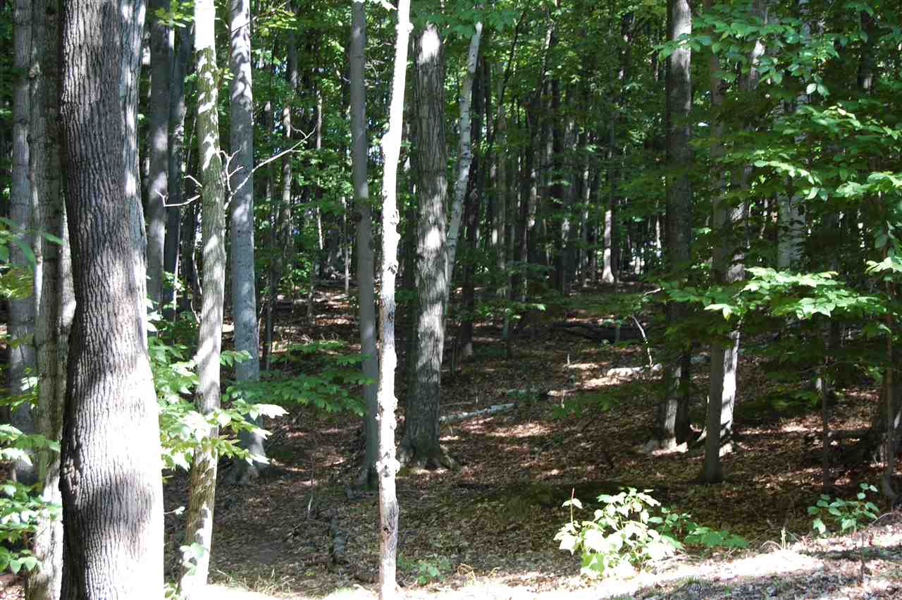 6936 Bay Heights Circle