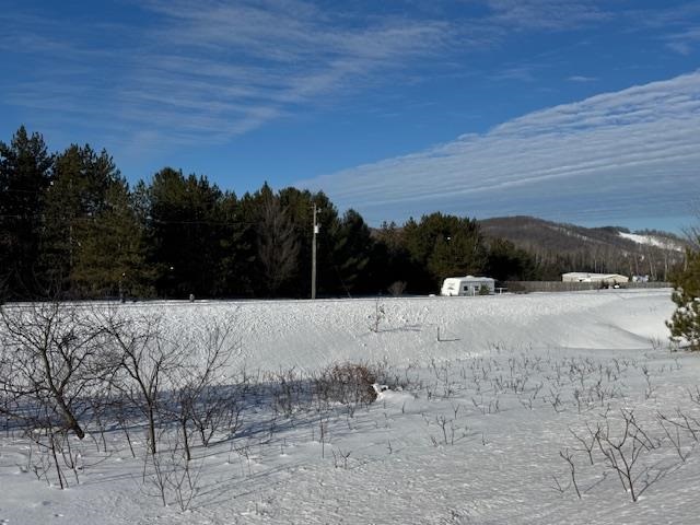 Boyne Falls, Michigan 49713, United States, ,Land,Active,11230