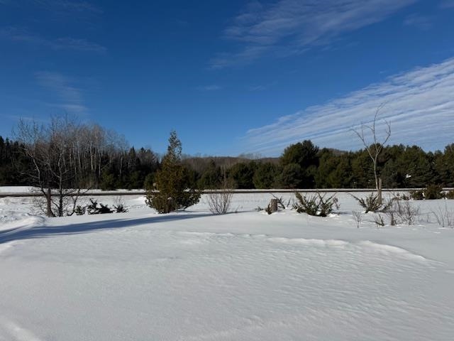 Boyne Falls, Michigan 49713, United States, ,Land,Active,11230