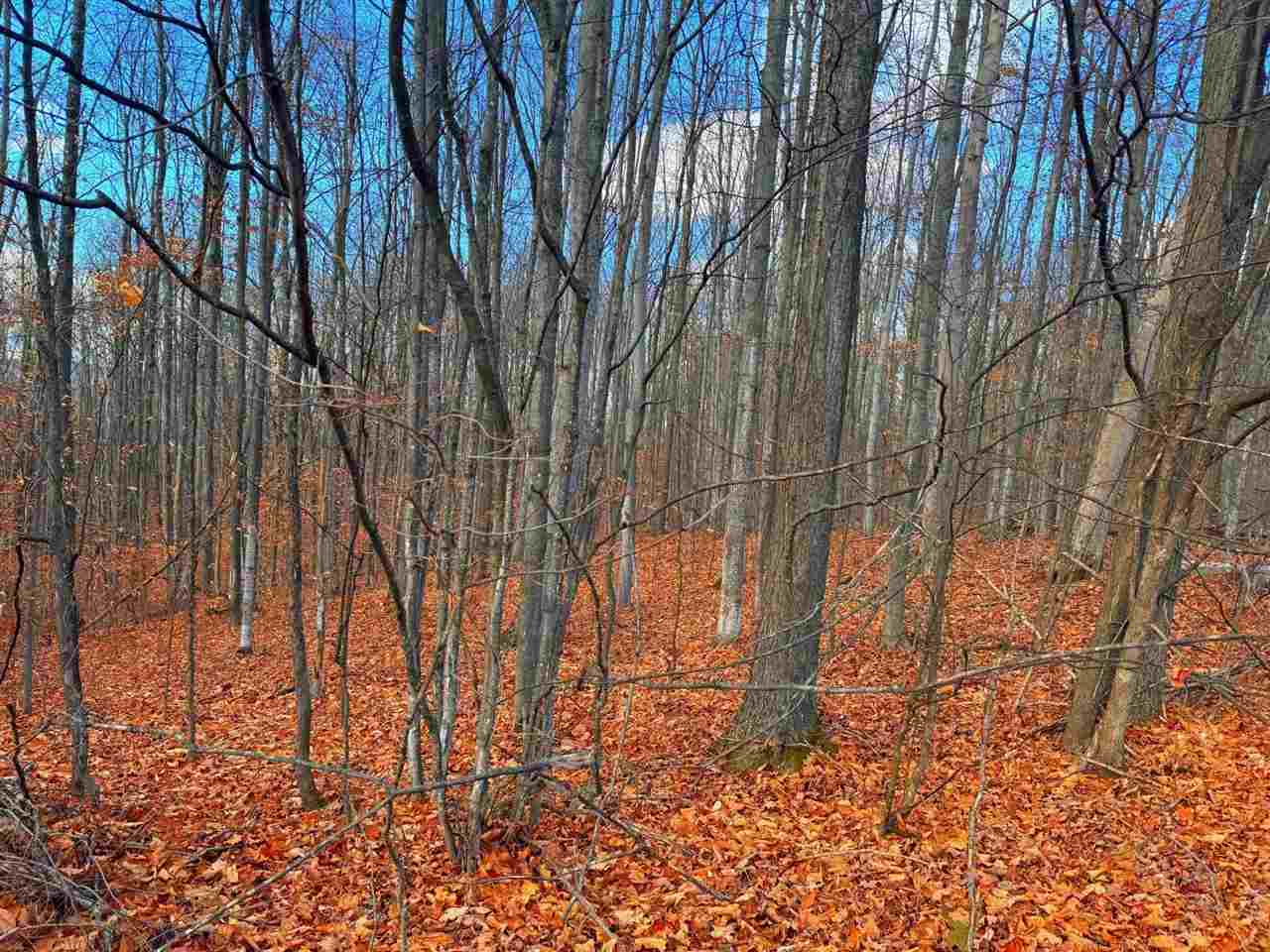 Lot 10 Mt. Vernon Hills Drive