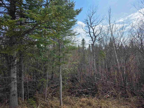 Photo for 5191 Onaway Road
