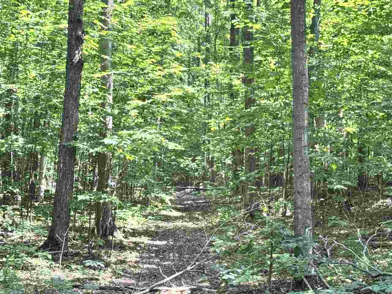 Boyne Falls, Michigan 49713, United States, 3 Bedrooms Bedrooms, ,2 BathroomsBathrooms,Residential,Active,178661