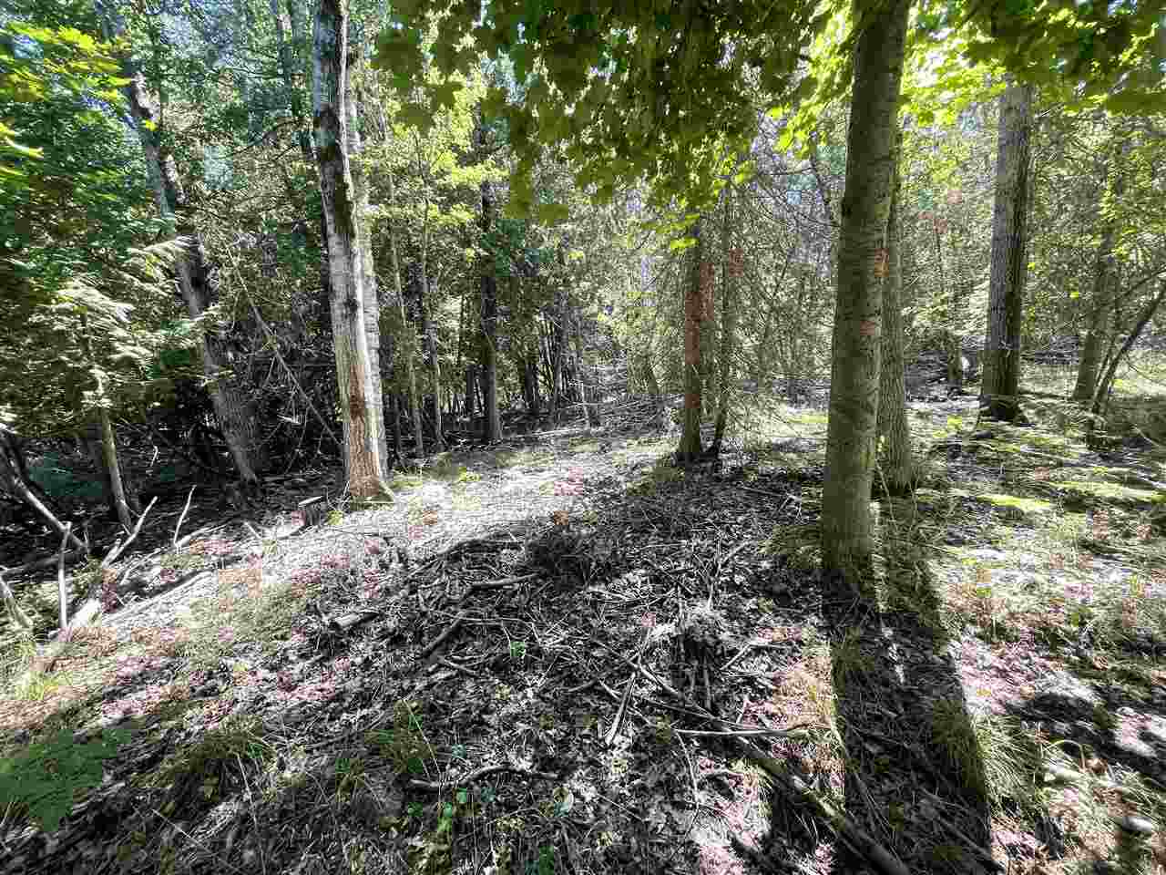 Charlevoix, Michigan 49720, United States, ,Land,Active,44666