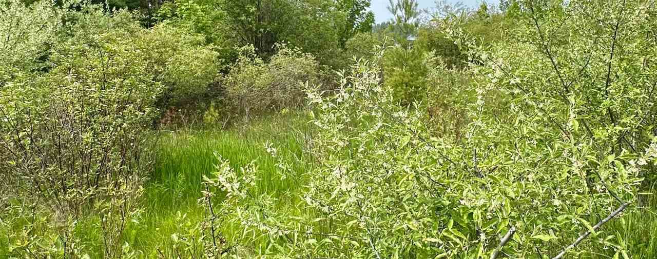 Charlevoix, Michigan 49720, United States, ,Land,Active,149104