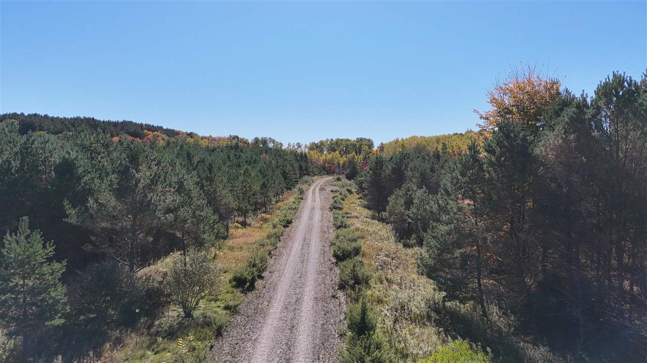 Ellsworth, Michigan 49729, United States, ,Land,Active,234090